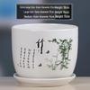 Simple White Ceramic Flower Pot with Base for Indoor Plants - Available in Large and Extra Large