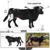 Cognitive Animal Model Toy: Dairy Cow, Buffalo, Yellow Cattle, Rhinoceros, Simmental Bull