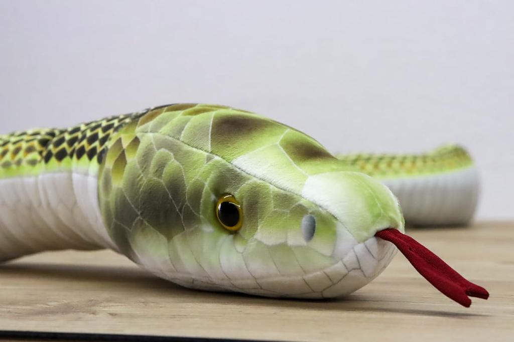 Take Off Japanese Rat Snake