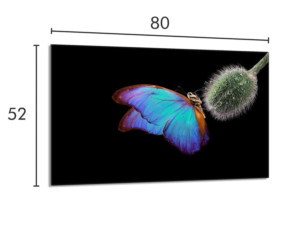Szklana płyta ochronna na kuchenkę 80x52 Motyl
