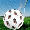 Cristiano Ronaldo29 Size 5 Soccer Ball Machine-Stitched Indoor/Outdoor Universal Football for Football Accessories