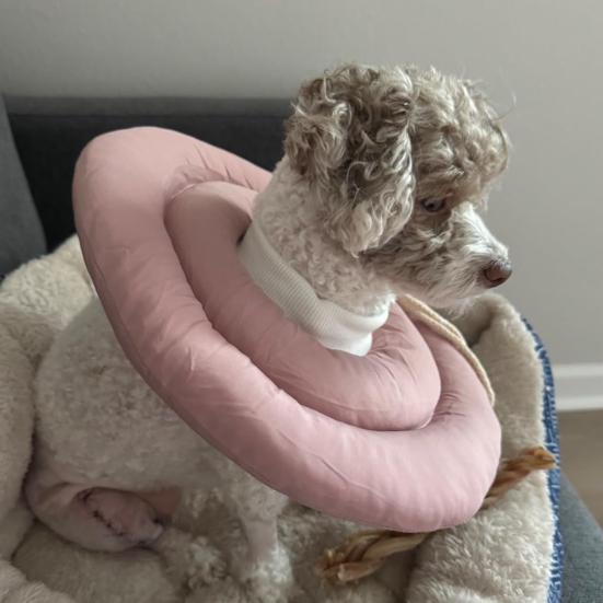 Собачий конус мягкий регулируемый воротник-пончик со шнурком альтернатива конусу для собак после операции для крупных средних маленьких собак и кошек