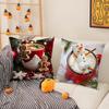 Creative Christmas Decorations For Cafes Coffee Pillow Case Silky Short Plush With Invisible Zipper Dustproof Sofa Cushion Cover