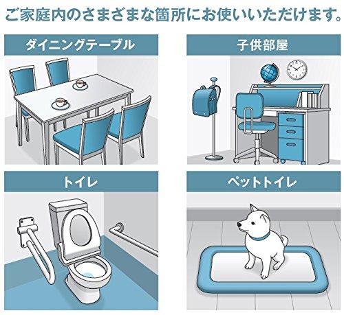 Fujifilm Continuous Disinfection Cloth Set of 2 and 1 Dedicated Bottle HydroAg+ (100 Sheets) (empty Bottle)