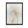 Delikatne Kwiaty W Linii Delikatne Kwiaty W Linii, 30X40 Cm, Rama Aluminiowa Czarna, Papier Matowy 230 Gsm