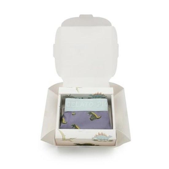 Gelato pique HOMME Коробка для нижнего белья с рисунком Спящий Динозавр PMCP262923 Мужская