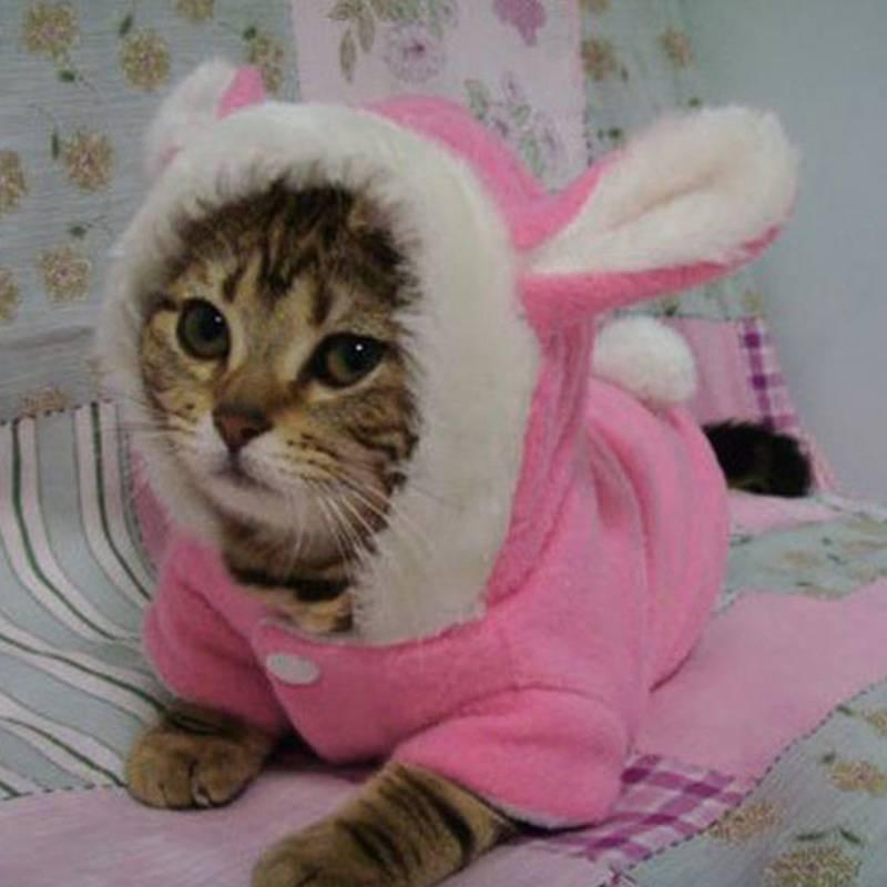 Теплый комбинезон кролик для животных