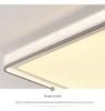 Modern Minimalist Luxury Ceiling Light for Bedroom and Study - Eye-Protecting Design