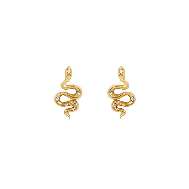 CIAXY Silver Color Snake Stud Earrings for Women Irregular Serpentine Zirconia Small Earring Jewelry Aretes De Mujer