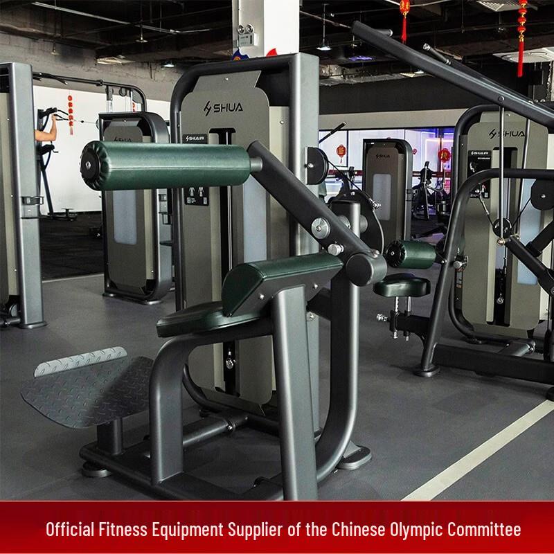 Shua Commercial Back Extension Machine