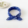 Hip-hop scarf 11cm cotton and linen small square scarf small silk scarf women's new European and American cashew nut printing versatile headscarf 