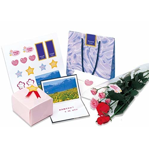 A-One Этикетка Наклейка Глянцевая Бумага Для Струйной Печати A4 Неразрезанные 10 Листов 28691