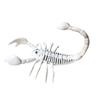Scorpion Horror Home Mouse Bat Party Artificial Skull Trick Props Plastic  Bones Animal Skeleton