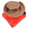 Bearded Dragon Cowboy Hat and Bandana Halloween Reptile Costume Cap with Removable Bib for Lizard