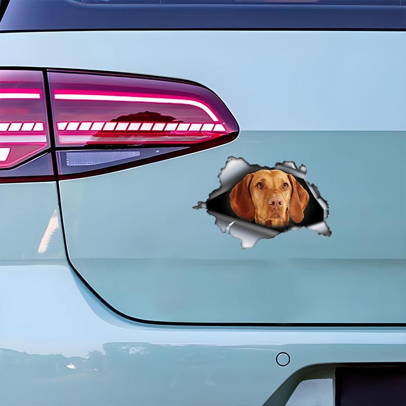 Vizsla 3D Break the Wall Car Sticker, Waterproof Vinyl Material Accessories, Interesting For Cars, Trucks, Motorcycles, Walls