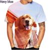 2024 Fashion Short Sleeve Cute Dog Summer 3D Printed T-Shirt Golden Retriever Fashion Casual Men's T-Shirt