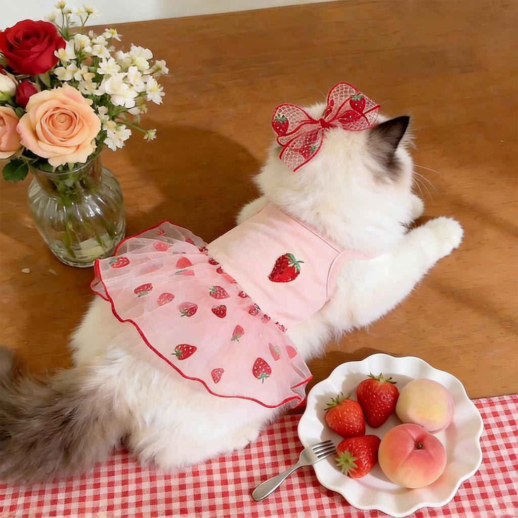 Pet gauze dress, summer thin dress for poodles, teddy bears, bichons, yorkshires, small dogs, cats, and other pets