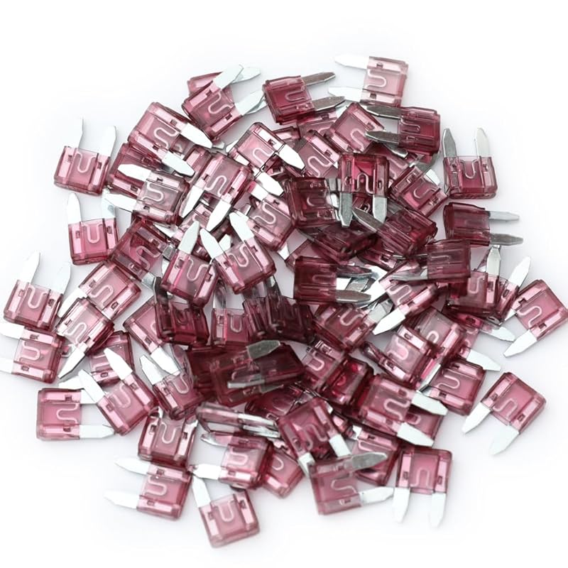 160 Pcs 2Amp Mini Fuse, 2 A Mini Car Blade Automotive Fuses For Car RV Truck SUV Motorcycle Boat