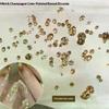 Круглые цирконы для ногтей Искрящийся цвет шампанского Шармы для ногтей Арт-стразы 5A Декоративные аксессуары для DIY