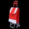 Stair Climbing Shopping Cart