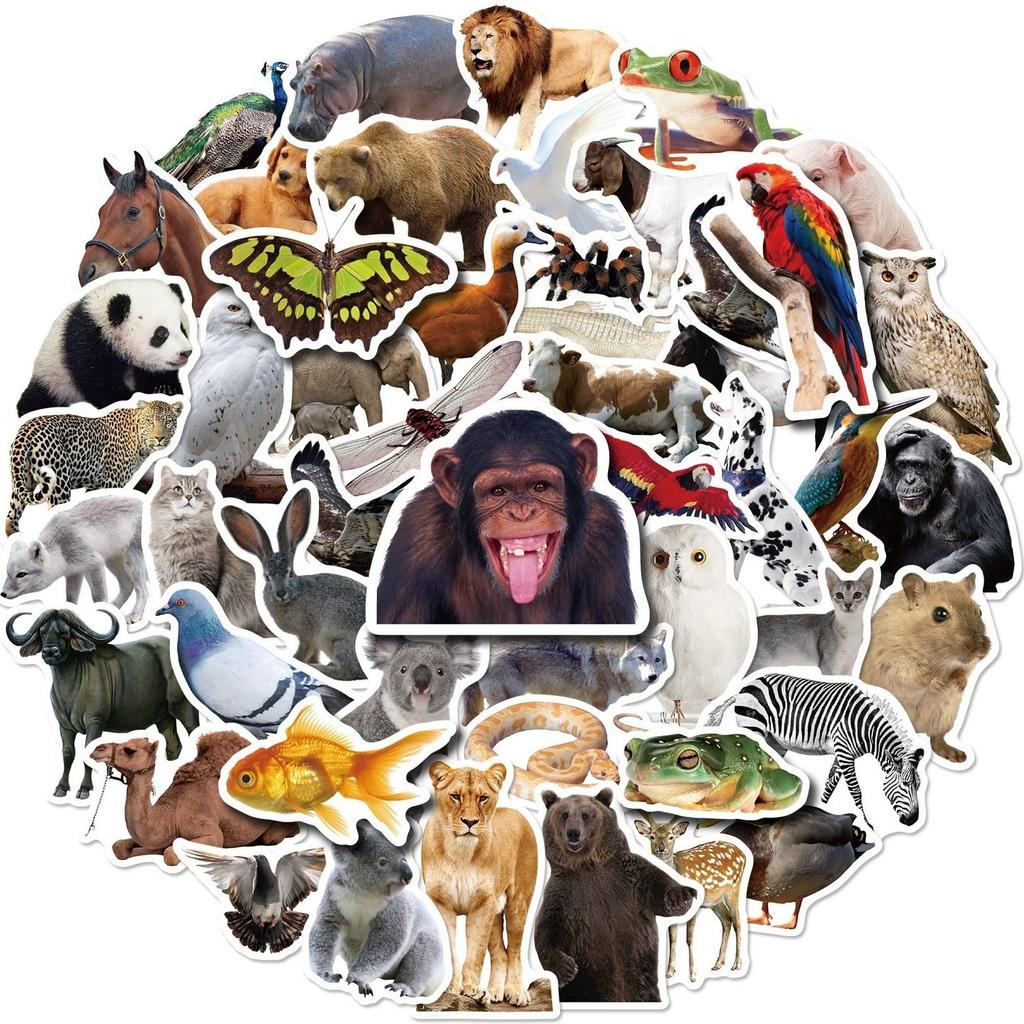 1set Cartoon Animal Decorative Stickers