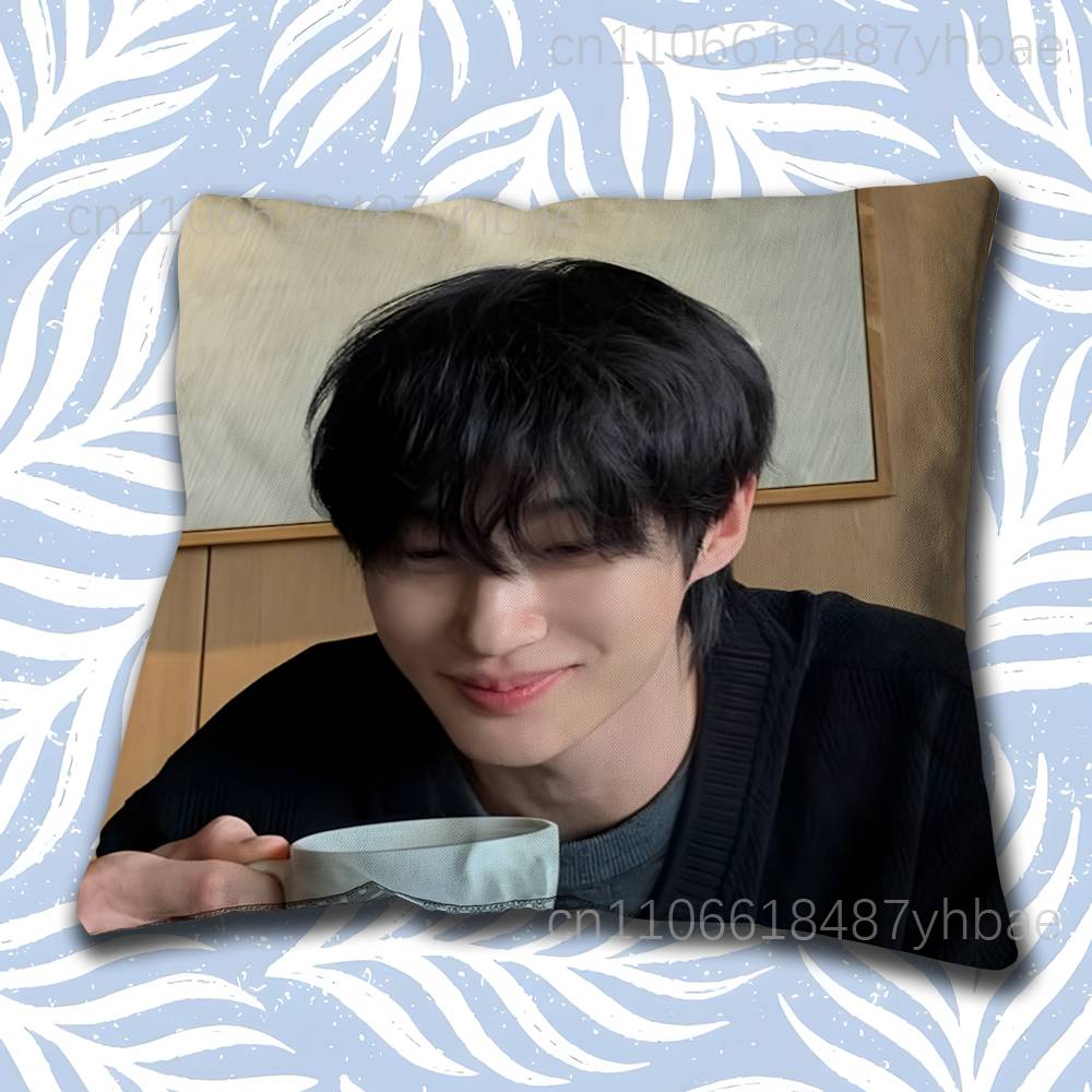 Korea BByeon Woo Seok Cushion Cover Pillow Cover Decor Pillowcase Printed Cushion Case For Couch