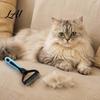 Двусторонняя расческа для животных Двусторонняя щетка для ухода Щетка-грабли из нержавеющей стали для подшерстка кошек Удаление колтунов с помощью щетки Нескользящая ручка Длинная