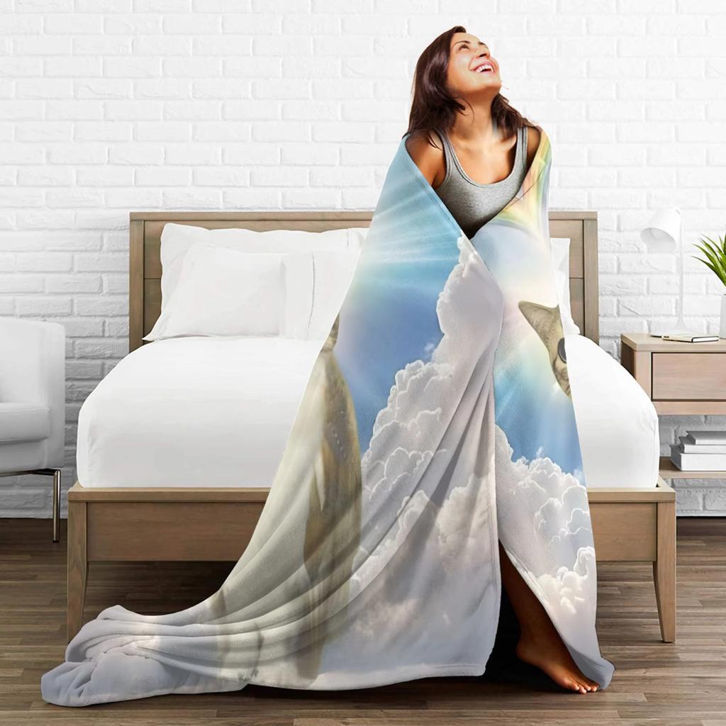 Популярный в интернете плед-покрывало с изображением совы и кота, ставшего мемом, для путешествий, для домашнего декора, теплое покрывало на заказ, подарок на день рождения.