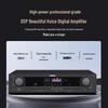 Malata QY-10 KTV Home Theater Karaoke System (CN version)