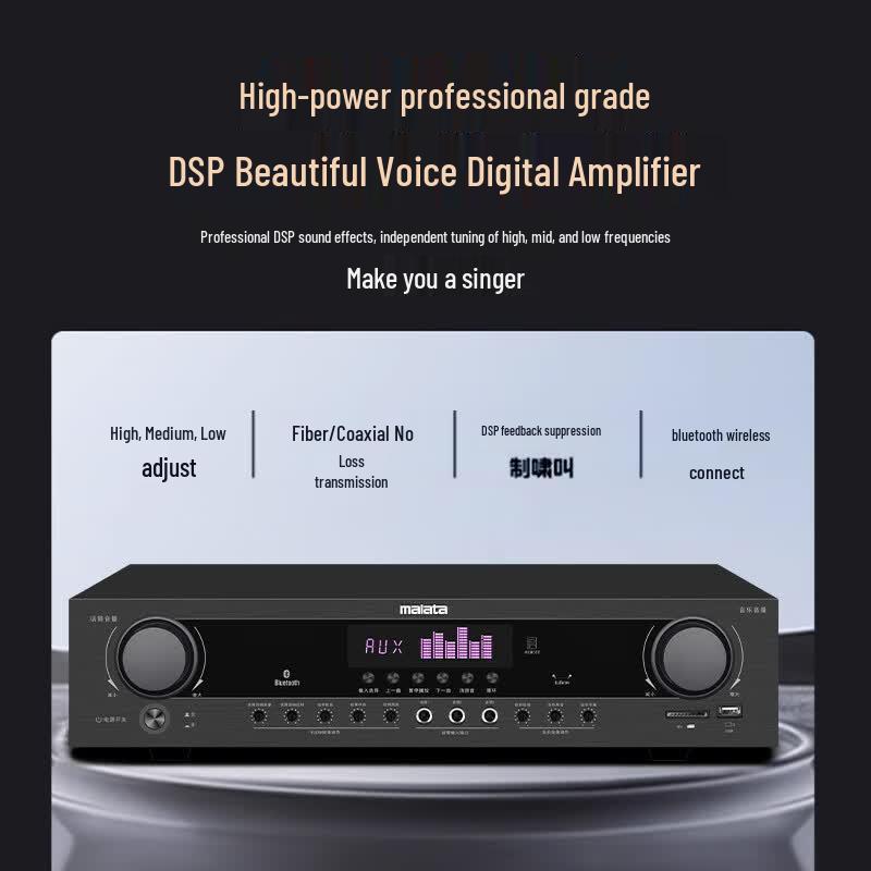 Malata QY-10 KTV Home Theater Karaoke System (CN version)