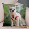 Cute Pet Animal Pillowcase Decorative Cute Puppy Chihuahua Pillowcase Soft Plush Cushion Cover for Car Sofa Home 45x45cm