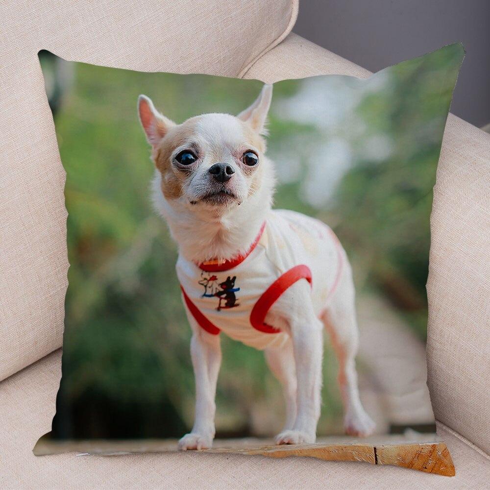 Cute Pet Animal Pillowcase Decorative Cute Puppy Chihuahua Pillowcase Soft Plush Cushion Cover for Car Sofa Home 45x45cm