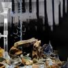 1 шт. Кормление аксессуары инструменты аквариум кормушка для рыбы креветки рыбы кормушка для креветок