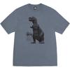 Stussy Big & Meaty Tee Pigment Dyed 1905133