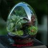 Красивые стеклянные бутылки в форме яйца, изысканный микроландшафтный мох, бутылка для балкона