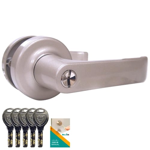 AGENT LS-100 Replacement Lever Door Knob with Key, Universal Lock, for Back Doors and Front Doors, Dimple Key, Left and Right Handed, Replacement Inst