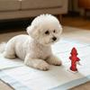 Тренажер-гидрант для собак для приучения к туалету, столб для собак, чтобы писать на него, столб для приучения к туалету собак, чтобы отмечать место для мочеиспускания на коврик