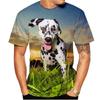 Футболки с 3D-принтом «Далматинцы», модные мужские и женские забавные футболки с коротким рукавом в стиле хип-хоп, большие футболки Harajuku Y2k, детские топы, одежда