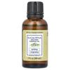 100% Pure Essential Oil, Eucalyptus, 30Ml(1Fl Oz)