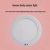 Motion-Sensing Adjustable Three-Color Ceiling Light for Home Decor
