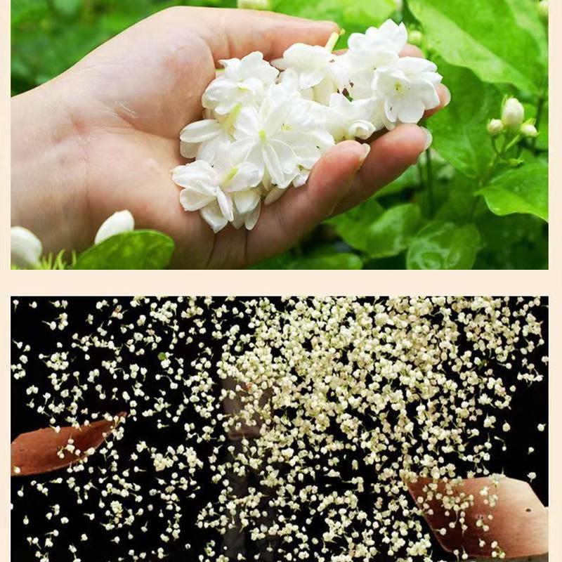 Премиальный жасминовый снежный чай 2024 года, новый чай, жасминовый чай в банках, аутентичный