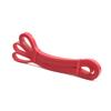 Resistance Bands Chest Workout Pull-Up Assist Home Fitness Training With Handles Door Anchor Carabiner