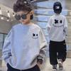 Boys' Spring and Autumn 2023 Fashionable Korean Sweatshirts