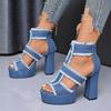 Fashion Summer Women Sandals New Platform Blue Denim Ankle Strap High Heels Shoes for Women Fashion Outdoor Sexy Peep Toe Sandals Women