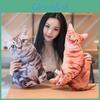 Том Кот 3D Плюшевая Подушка-Кот Тигровой Окраски С Мягким ПП Хлопком Для Декора Детской Спальни