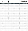 Puma Solarattack RCT - Кроссовки Padel Squash Sports Белый 106947-04 ОРИГИНАЛ