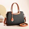 Middle Aged Mom Female Tote Bag 2024 New Style Commuter Handbag Female Versatile Crossbody Bag High-quality Shoulder Bag