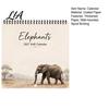 Decorative Home Wall Calendar Elephant 2027, 12-Month Wildlife Planner with Spiral Binding, Professional Daily Note Thick Paper for Office,