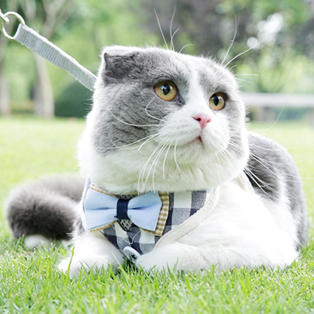 Adjustable Strap Cat Harness Set Adjustable Cat Leash Kitten Daily Activity