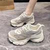 Platform Dad Shoes Women 2025 New Summer Mesh Casual Running Sports Shoes Versatile Breathable Shoes Ins Tide